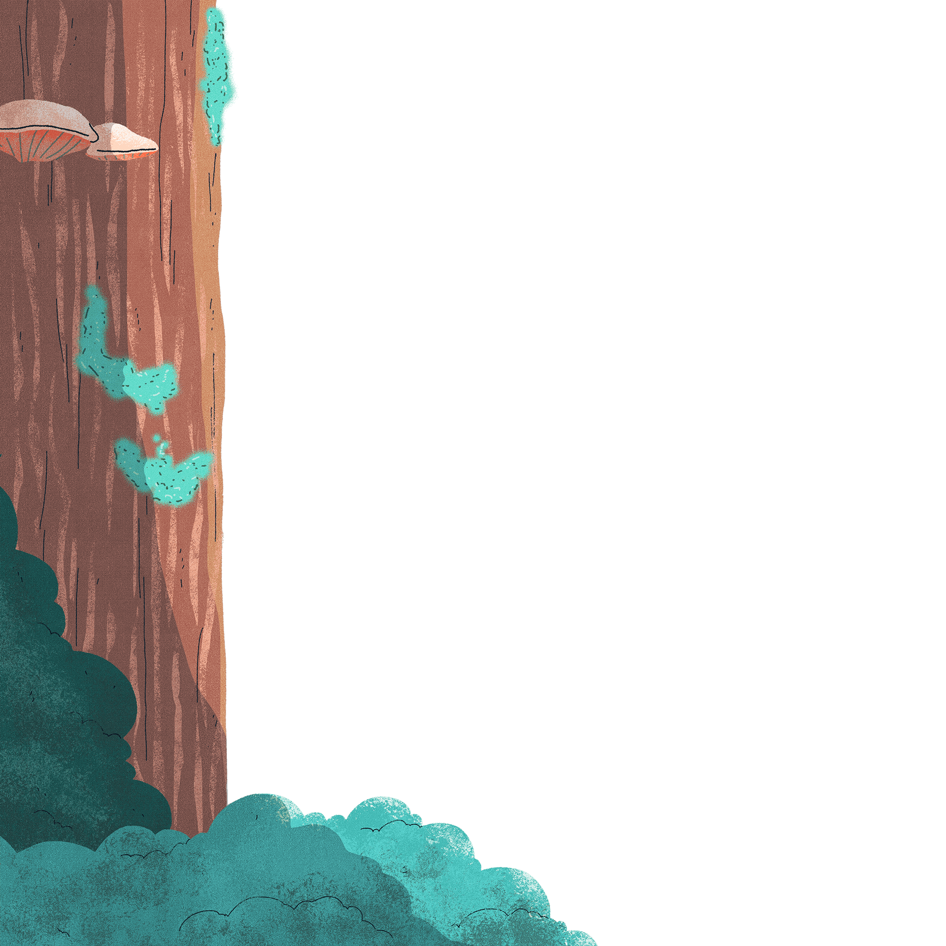 Second plan de l'illustration