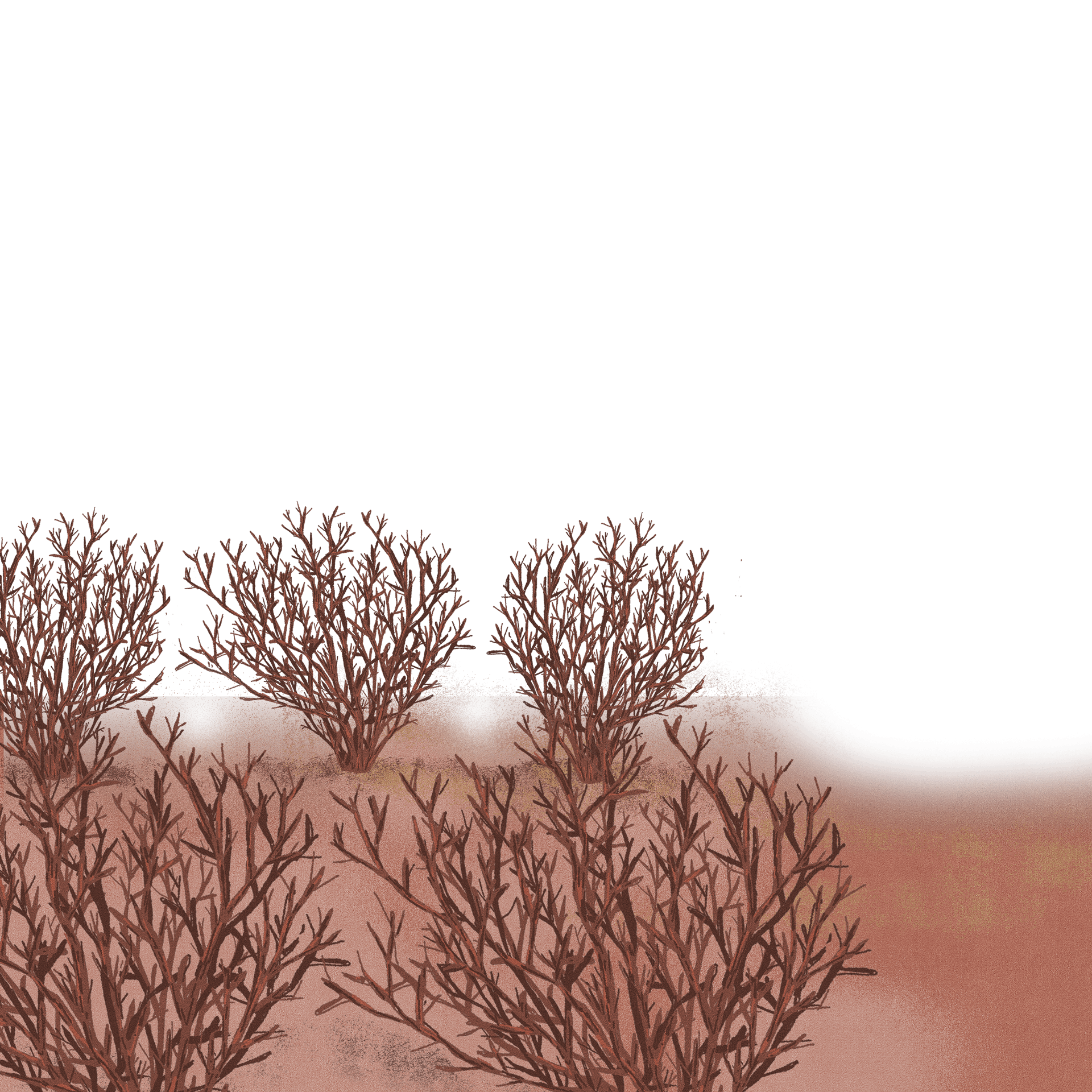 Second plan de l'illustration