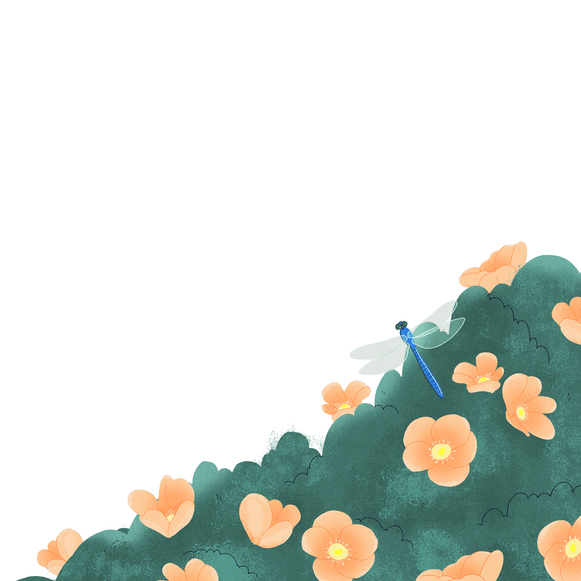 Premier plan de l'illustration