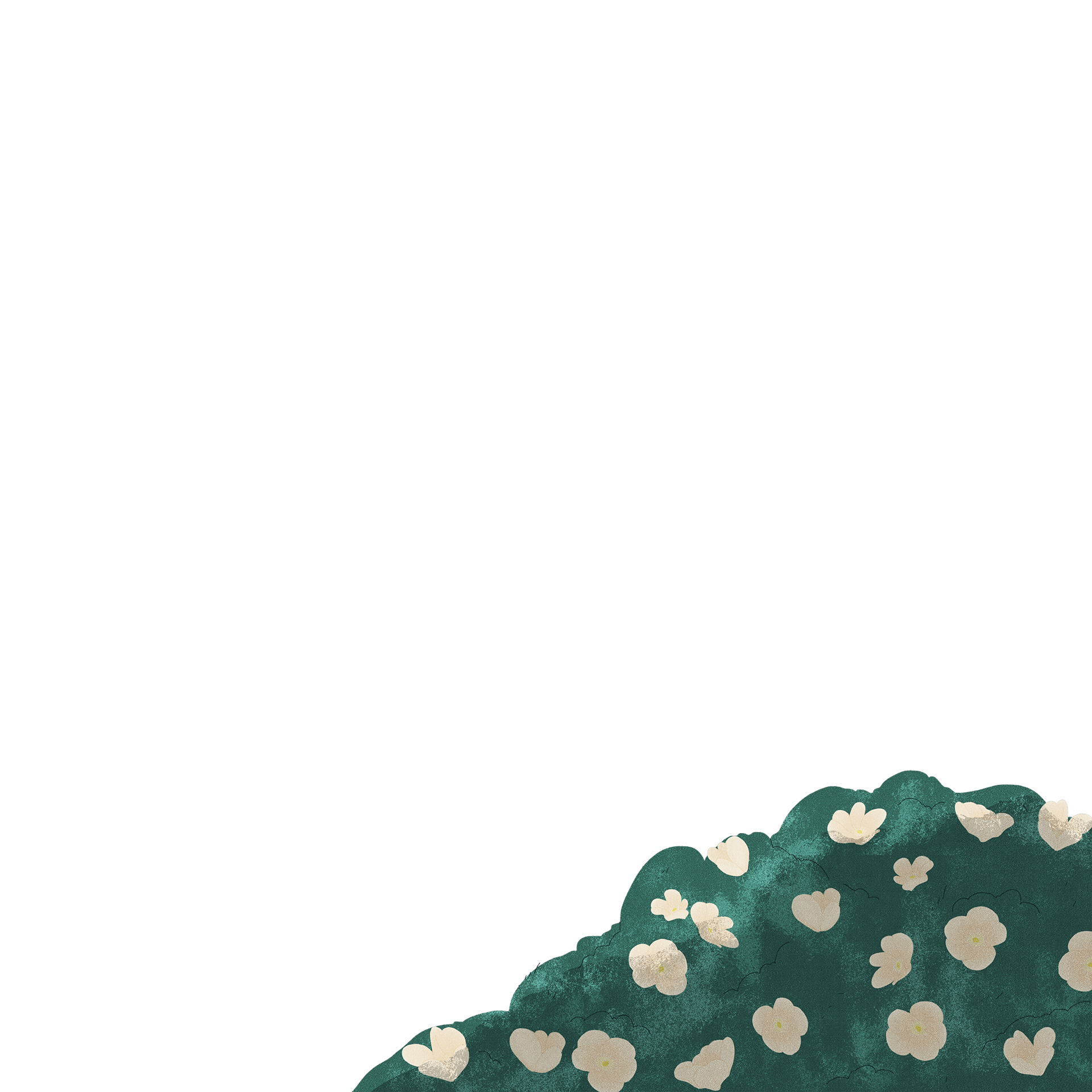 Premier plan de l'illustration